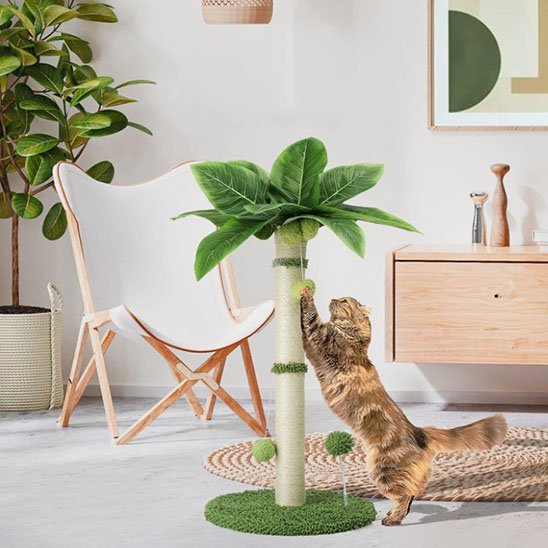 Griffoir chat | Palmier avec tronc en sisal rugueux - Chicetchat