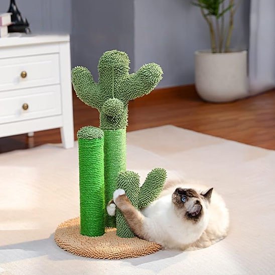 Griffoir chat | Cactus avec tronc en sisal rugueux - Monminouchat