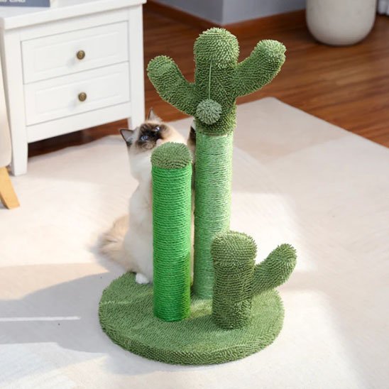 Griffoir chat | Cactus avec tronc en sisal rugueux - Monminouchat