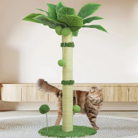 Griffoir chat | Palmier avec tronc en sisal rugueux - Chicetchat