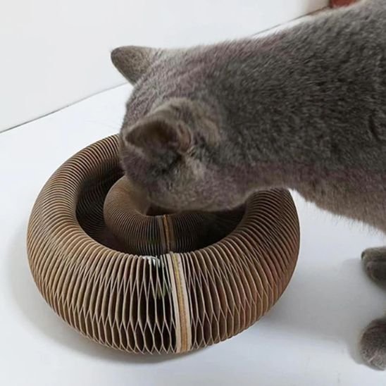 Griffoir pour chat | Tour de jeu pour chat en spirale modulable - Tunnels, cachettes ludiques et design élégant - Chicetchat