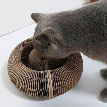 Griffoir pour chat | Tour de jeu pour chat en spirale modulable - Tunnels, cachettes ludiques et design élégant - Chicetchat