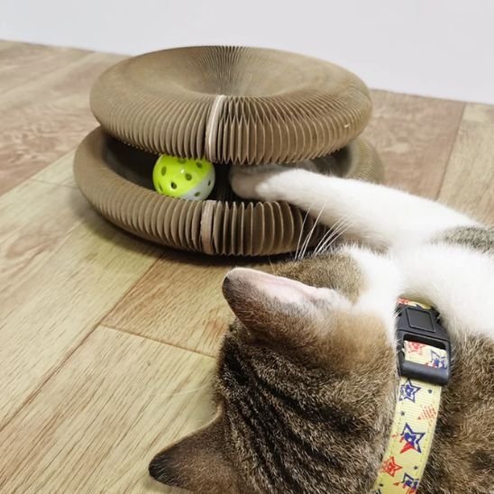 Griffoir pour chat | Tour de jeu pour chat en spirale modulable - Tunnels, cachettes ludiques et design élégant - Chicetchat