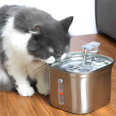 FONTAINE A EAU CHAT | FéliSource - Chicetchat