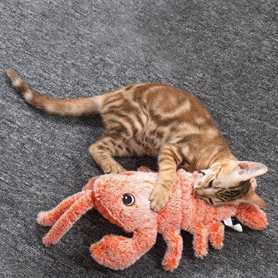 Jouet Chat interactif | Crabouille - Monminouchat