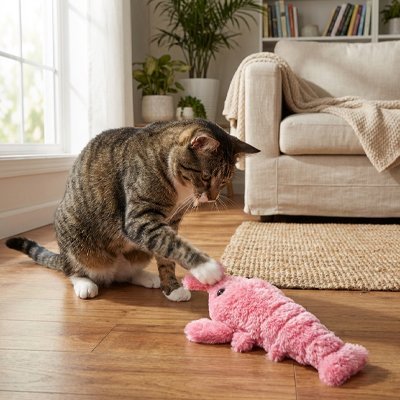 Jouet Chat interactif | Crabouille - Monminouchat