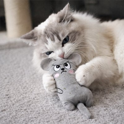 Jouet pour chat | Sourinette - Chicetchat
