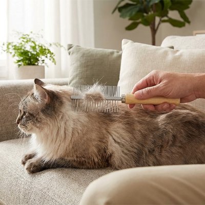 Peigne pour Chat Anti - nœuds | SoyeuxPro - Chicetchat