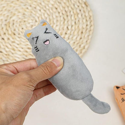 chat interactif | ChasseFéline