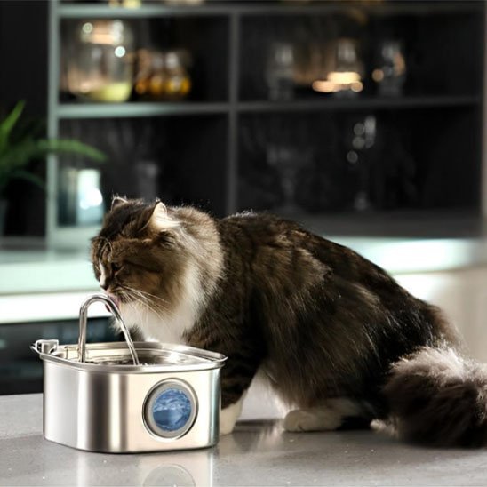 FONTAINE A EAU CHAT | Inox Santé - Chicetchat