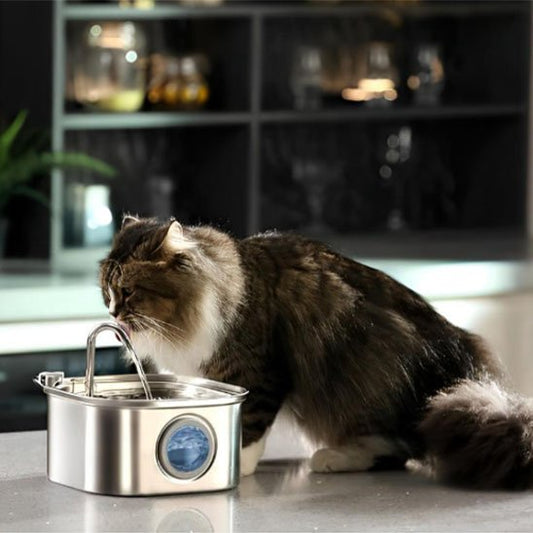 FONTAINE A EAU CHAT | Inox Santé - Chicetchat