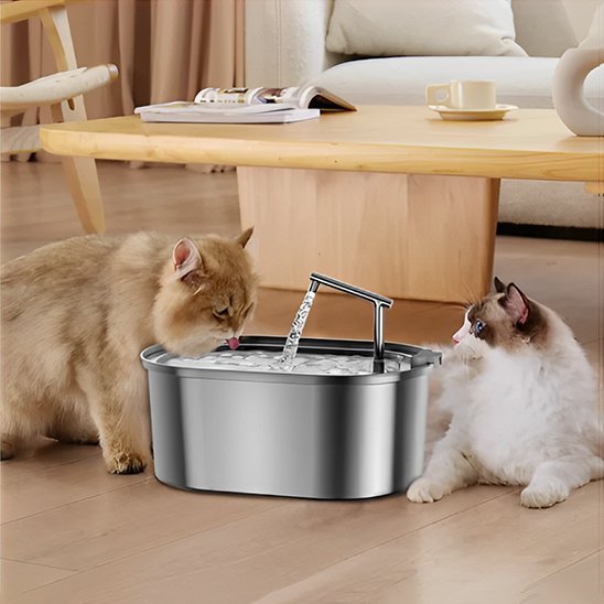 FONTAINE A EAU CHAT | Inox Santé Premium - Chicetchat