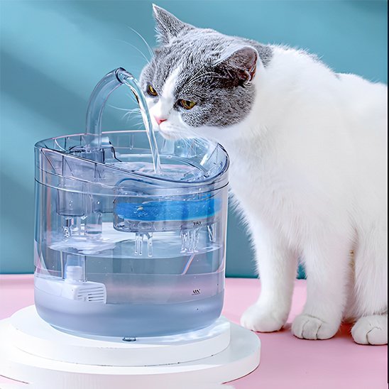 Fontaine a eau chat | PréventCare - Ma boutique