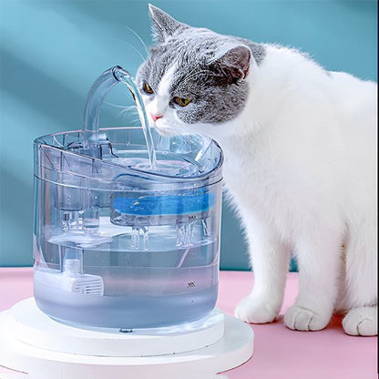 Fontaine a eau chat | PréventCare - Ma boutique