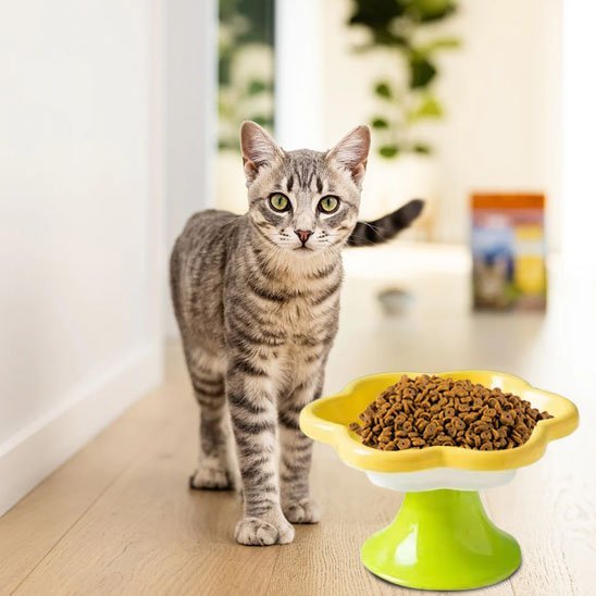Gamelle chat | Pause Gourmande - Chicetchat