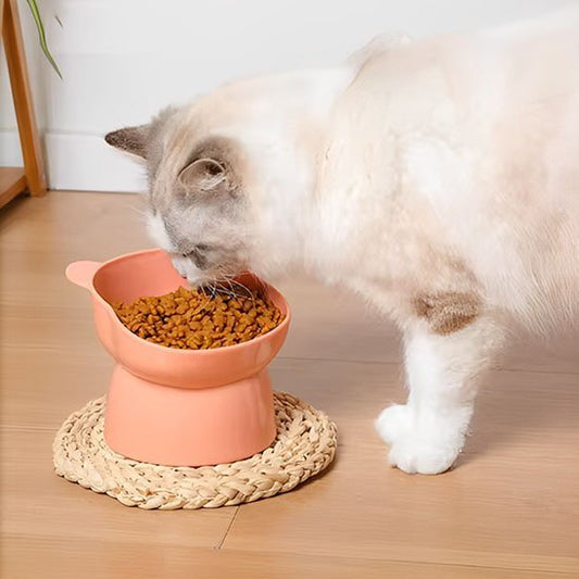 Gamelle chat | DoucePatte - Chicetchat