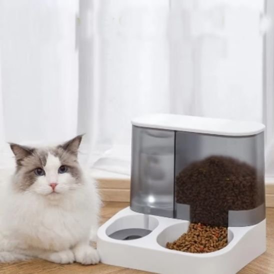 Distributeur de croquettes pour chat | AutoFeed - Chicetchat