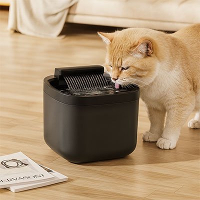 Fontaine eau chat | PureFlow - Chicetchat