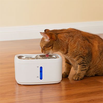 FONTAINE A EAU CHAT | PureFlow - Chicetchat