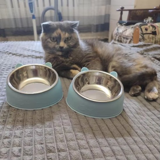 Gamelle chat | Minora - Chicetchat