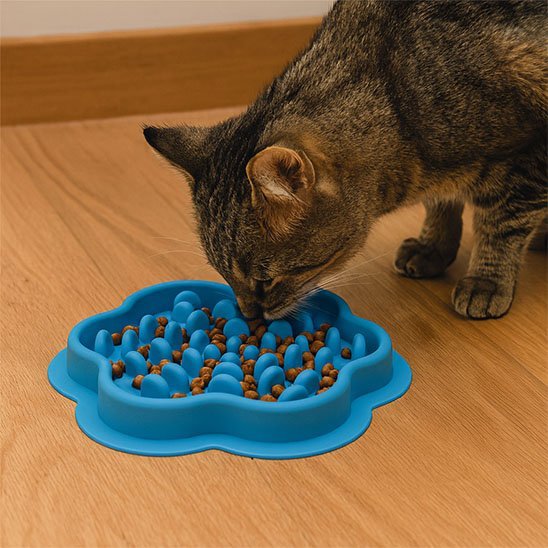 gamelle anti glouton Chat | FeliFast - Chicetchat