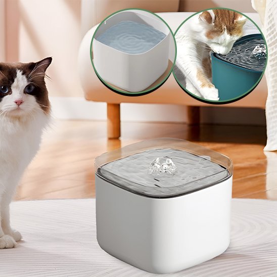 Fontaine à eau chat | Anti - déshydratation - Chicetchat