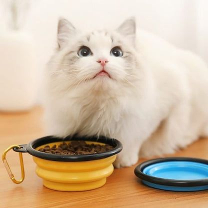Gamelle chat | Feli - Chicetchat