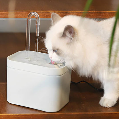 Fontaine eau chat | Silencia - Chicetchat