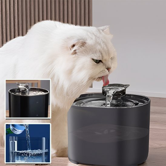 Fontaine à eau chat | Cascade Premium - Chicetchat