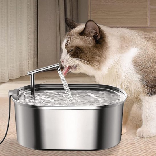 FONTAINE A EAU CHAT | Inox Santé Premium - Chicetchat