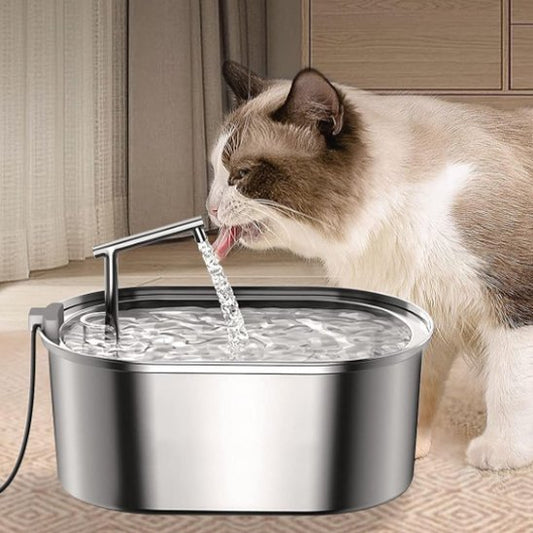 FONTAINE A EAU CHAT | Inox Santé Premium - Chicetchat