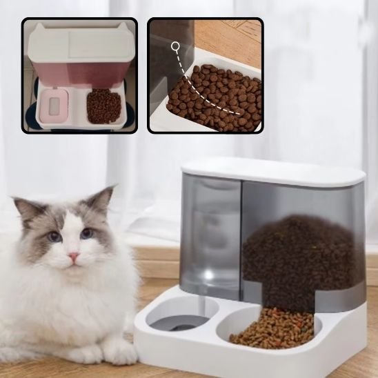 Distributeur de croquettes pour chat | AutoFeed - Chicetchat