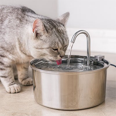 Fontaine à eau pour chat | Premium Inox - Chicetchat