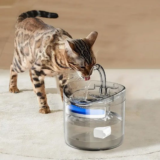 Fontaine a eau chat | PréventCare - Ma boutique