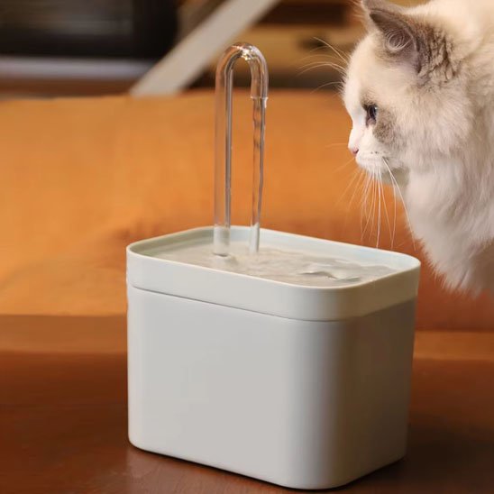 Fontaine eau chat | Silencia - Chicetchat