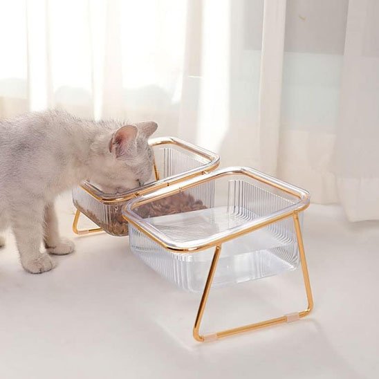 Gamelle chat | Douce Patte - Chicetchat
