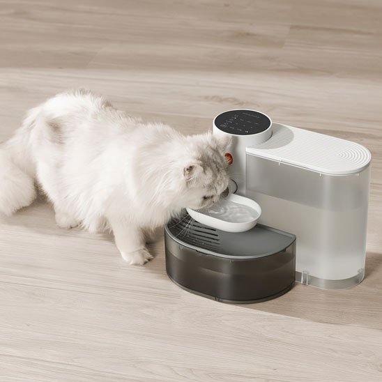 FONTAINE A EAU CHAT | SilencioFlow - Chicetchat