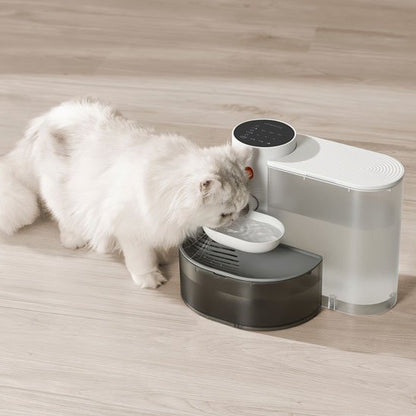 FONTAINE A EAU CHAT | SilencioFlow - Chicetchat