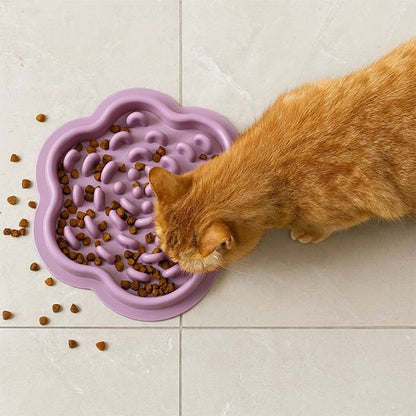 gamelle anti glouton Chat | FeliFast - Chicetchat