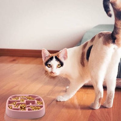 Gamelle anti glouton chat | BienManger - Chicetchat