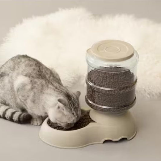 Gamelle chat | Miloé - Chicetchat