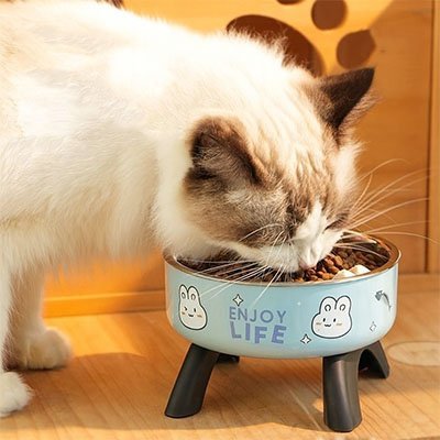 Gamelle chat surélevée | Katera - Chicetchat