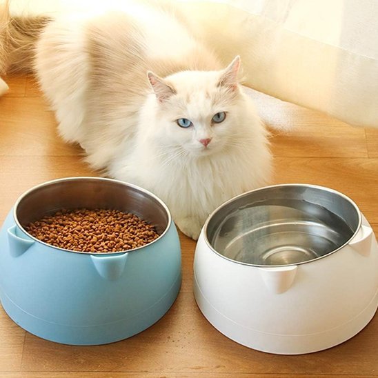 Gamelle chat | Minora - Chicetchat
