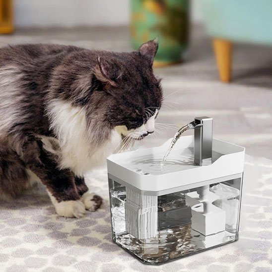 FONTAINE A EAU CHAT| FéliFresh - Chicetchat