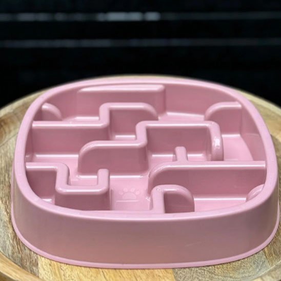 Gamelle anti glouton chat | BienManger - Chicetchat