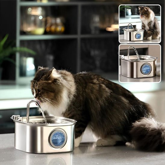 FONTAINE A EAU CHAT | Inox Santé - Chicetchat