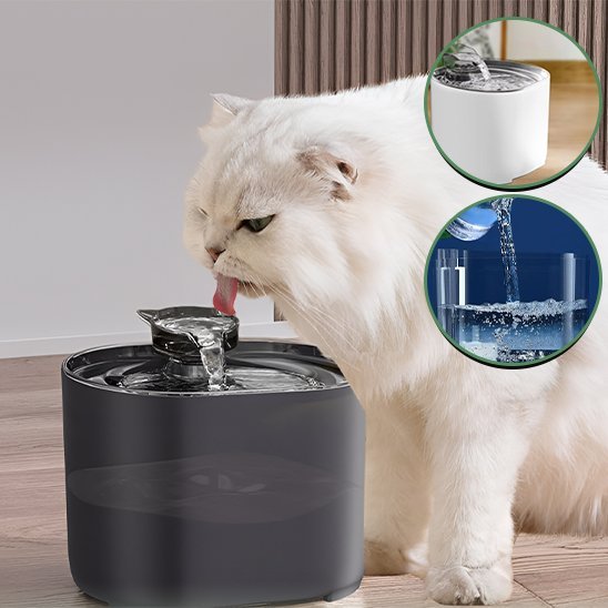 Fontaine à eau chat | Cascade Premium - Chicetchat