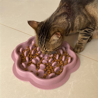 gamelle anti glouton Chat | FeliFast - Chicetchat