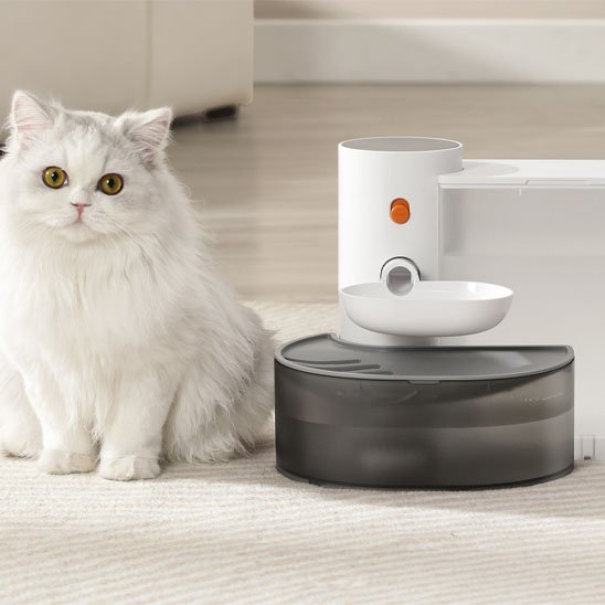 FONTAINE A EAU CHAT | SilencioFlow - Chicetchat