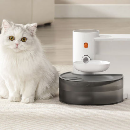 FONTAINE A EAU CHAT | SilencioFlow - Chicetchat